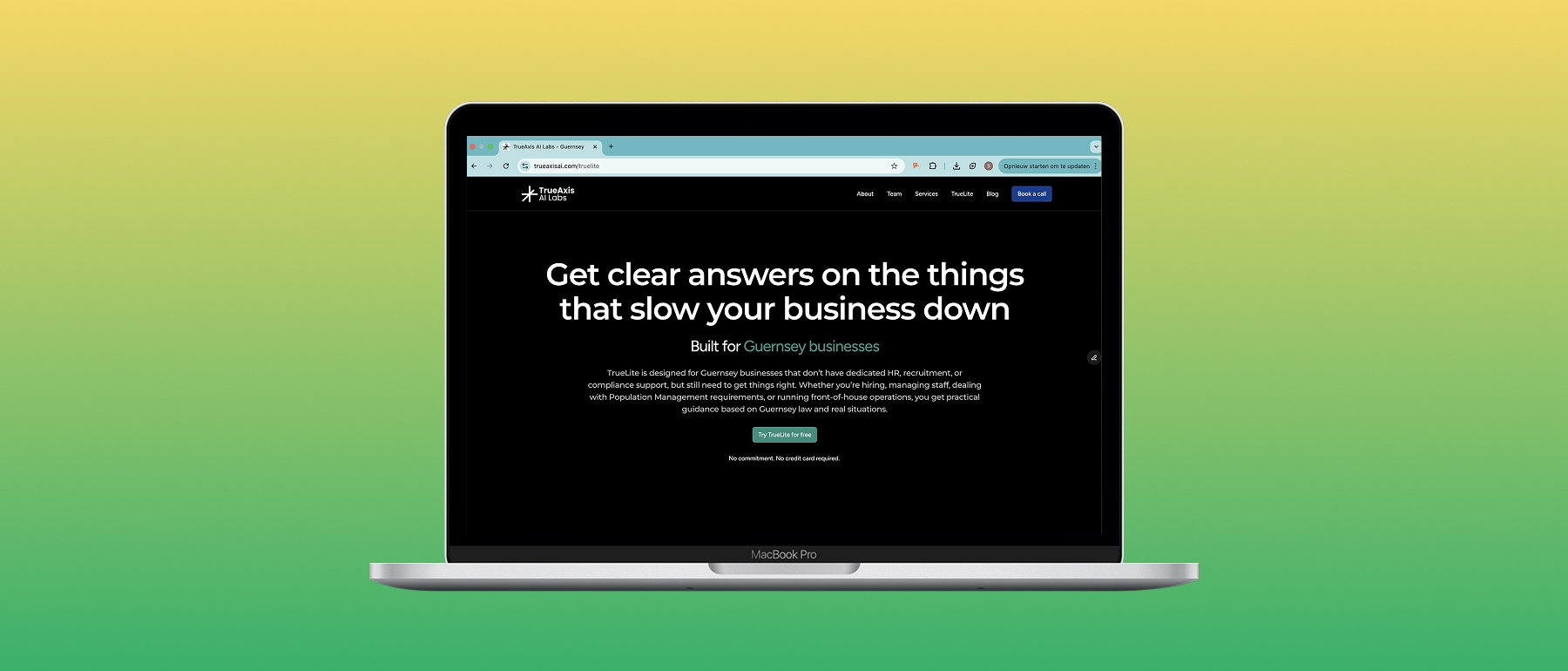 TrueAxis AI - TrueLite landing page